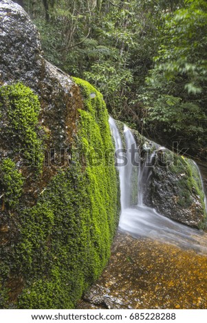 Small waterfall with moss in rain forest at south of Thailand