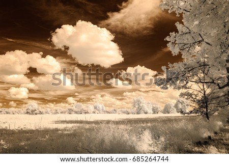 infrared camera image. colored. open green fields with flowers in meadows and some trees