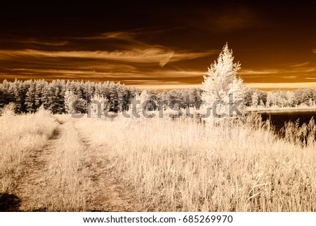 infrared camera image. colored. open green fields with flowers in meadows and some trees