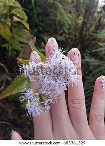flower matching with nail color