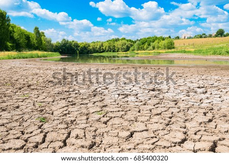 Landscape - A lake with a dry swamp on the shore against the background of a blue sky