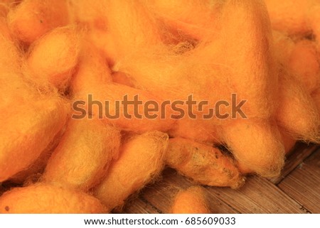 Silk pod :Yellow silkworm cocoons