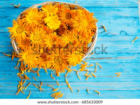 Orange juice flowers grow in the fresh air is a medicinal plant