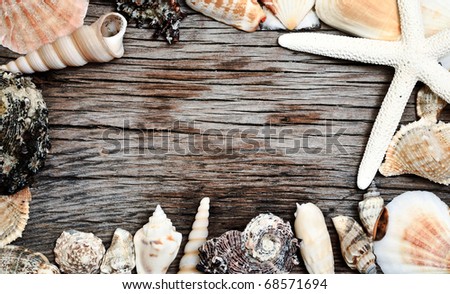 seashells frame on grunge wooden background