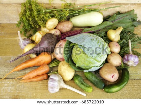 Beautiful juicy and delicious vegetables as gifts of summer. Photo for micro-stock
