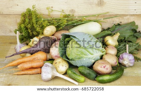 Beautiful juicy and delicious vegetables as gifts of summer. Photo for micro-stock
