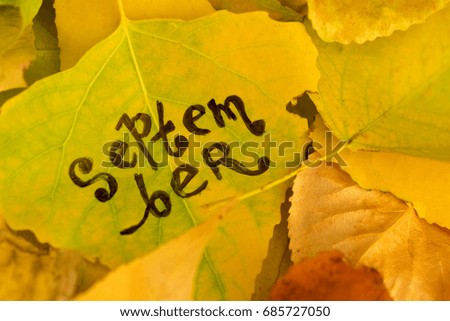 Yellow leaf with the inscription SEPTEMBER on the background of fallen autumn foliage