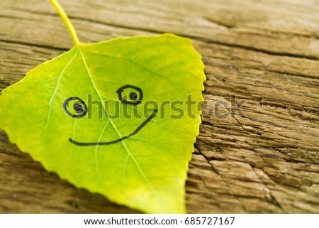 Green leaf with a picture of happy face on the old wooden background with cracks