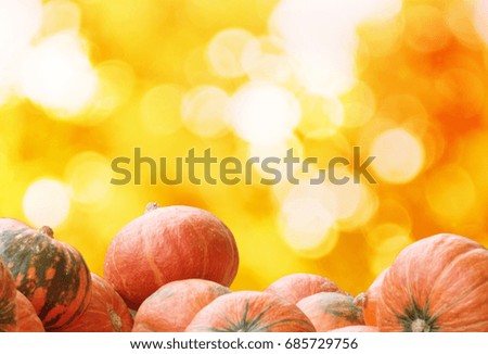 pumpkins on autumn  bokeh background with space for your text greeting for autumn season.