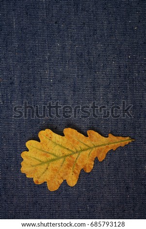 Yellow or brown one alone leaf lie on jean material texture background. autumn time fall season idea, sign, symbol, concept. empty copy space