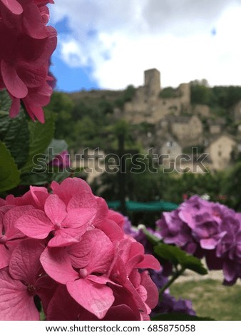 Castle behind flowers, belcastel, France