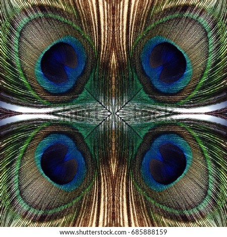 peacock feather mirrored pattern closeup