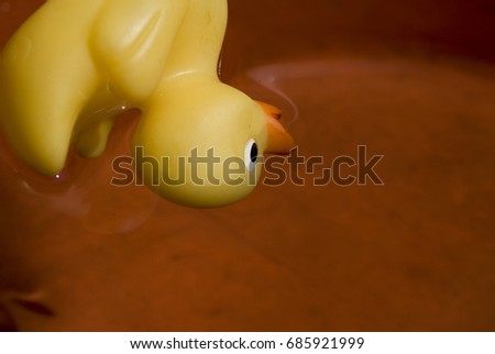 Rubber yellow duck shaped toy floating in the water of a red swimming pool, overturned on the side 