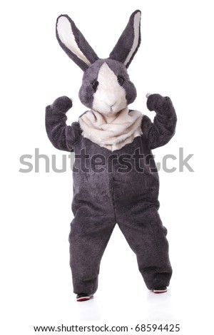 Funny grey rabbit showing his biceps isolated on white background