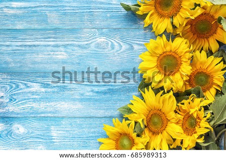 Yellow sunflowers on blue wooden background. Copy space. Top view.