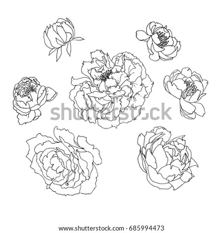 Set of seven hand drawn outline peonies and roses flowers. Vector illustration.