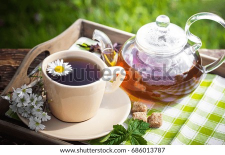 Tea on the background of nature