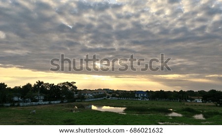 Evening sun setting on a row of suburban houses