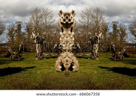 Centenary chestnut trunks, Symmetrical photographs,  magical realism, surreal photography, abstract, magical picture just for crazy  