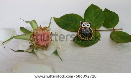 Little wise owl in Wedding ring surrounded by  pink rose pollen with  green leaves and sweet pink  white petals on white background