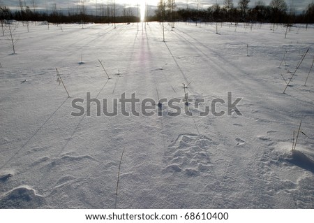 sunlight over winter landscape