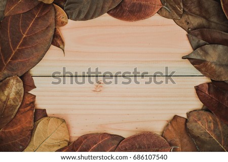 Green leaves frame isolated on wood background with copy or blank space