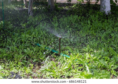 Lawn Sprinkler in Action. Automatic equipment