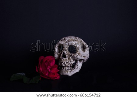 a picture of a skull looking at a Rose flower 