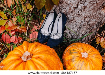 A picture of pumpkins lying near blue bridal shoes. Wedding decorations. Outdoors