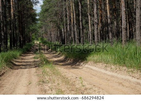The picture of the road in the forest