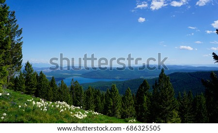 A picture of a meadow in the Rocky Mountains covered in Bear Grass, with part of the Flathead valley in view.
