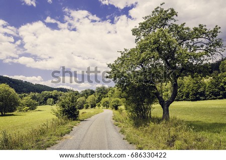 Beautiful green meadow and road under cloudy sky 