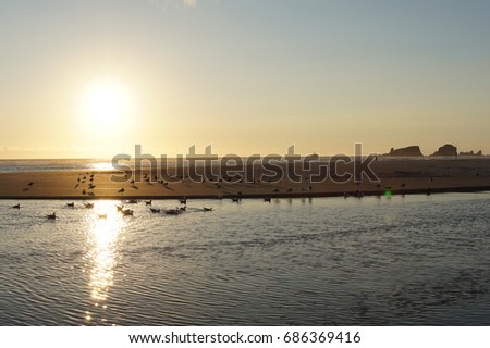 Sunset at beach with Seagulls, Pacific Ocean, Blue Sky, and Rock Formations in Background