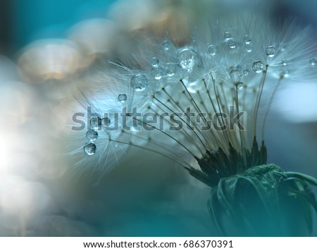 Abstract Macro Photo.Dandelion and Water Drops.Artistic Green Nature Background.Flowers with Pastel Tones.Tranquil Closeup Art Photography.Creative Wallpaper.Floral Fantasy Design.Ecology Energy.Plant