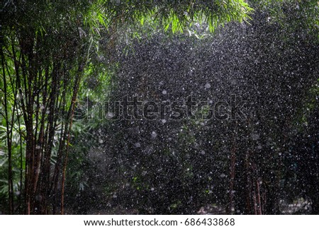 Falling raindrops frozen against a dark background with bamboo plants framing the picture.