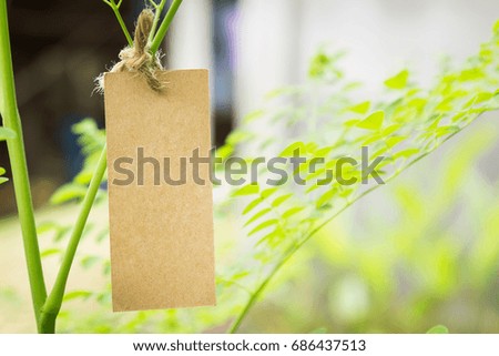 Blank brown paper hanging on herbal tree moringa with nature garden background, herb for healthcare lifestyle living 