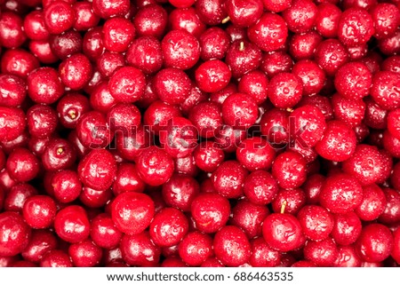 background of berries of cherry with water drops