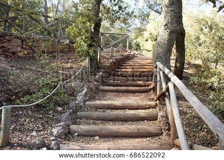 staircase made with wooden logs in the natural park of the font roja. Alcoi, Alicante, Spain
