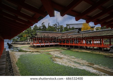 Miyajima, Hiroshima, Japan at the floating gate or The great Torii of Itsukushima Shrine.
