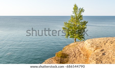 Lone tree stands watch on the edge of a cliff, in Pictured Rocks National Lakeshore, on Lake Superior, near Munising, Michigan.