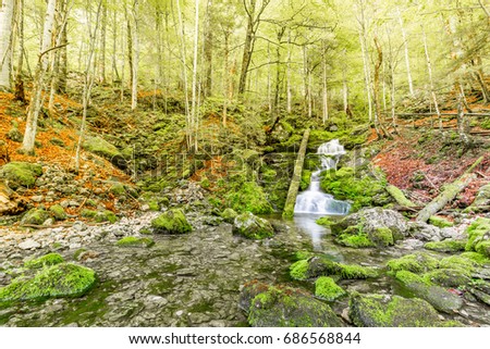 Beautiful river in forest nature. 