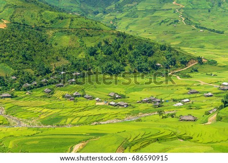 Beautiful rice paddy agriculture field at Tule village during trip HANOI to SAPA at Mu Cang Chai, Yen Bai at Northwest Vietnam.