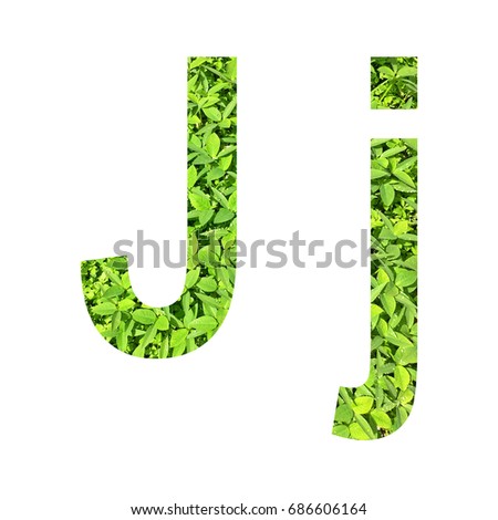 English alphabet of J. made from green grass on white background for isolated with clipping path, Capital letter and small letter  from green grass on white background for isolated
