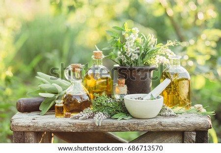 Medicinal plants from the garden and the different types of oils for massage and aromatherapy. Royalty-Free Stock Photo #686713570