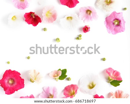 Pink mallow flowers isolated on white background. Abstract floral composition. Flower pattern. Frame of plants and flowers. Top view, flat lay.
