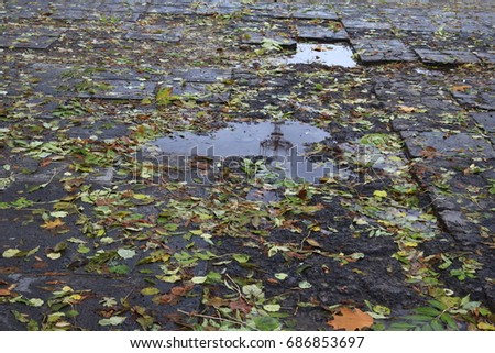 On the broken pavement after the rain on a cold autumn day there are many leaves