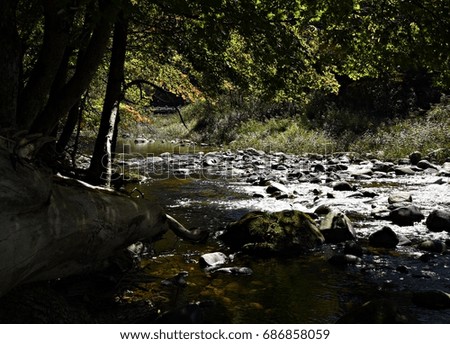 river in mountain