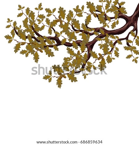 In autumn, a yellowed branch of a large oak tree with acorns. Volumetric drawing without a grid and a gradient. Isolated on white background. Vector illustration