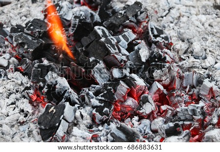 Smoldering coal after fire. Coal and wood ash from burning bonfire closeup, shallow depth of field. Nature background. Danger concept.