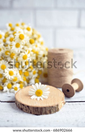 Bunch of camomiles on a cut tree, twine, wooden reel, on a white wooden background